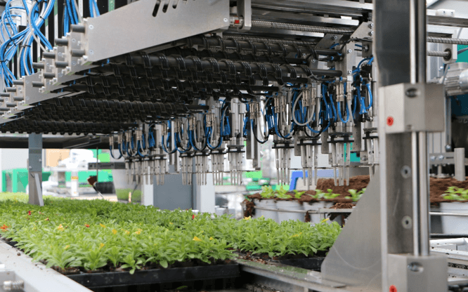 Visser Multi Planter thumbnail