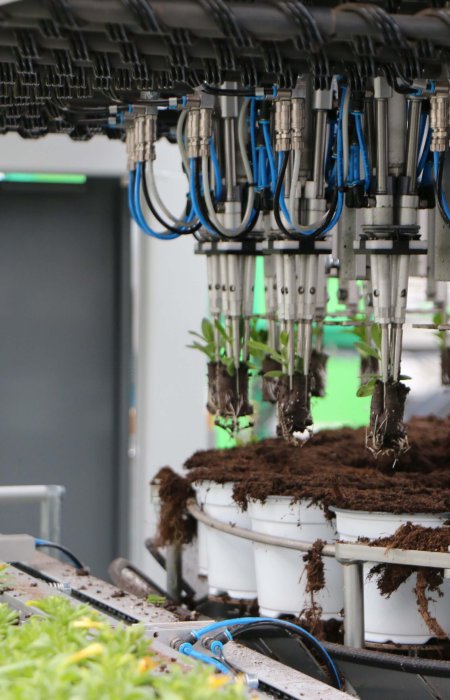 Visser Multi Planter