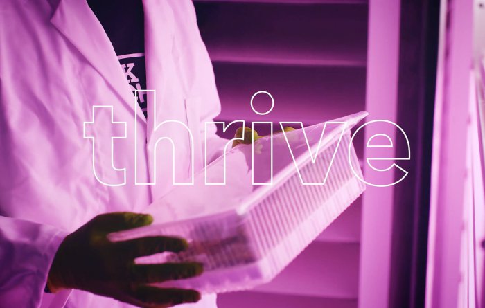 Viscon Group - Promo 2022